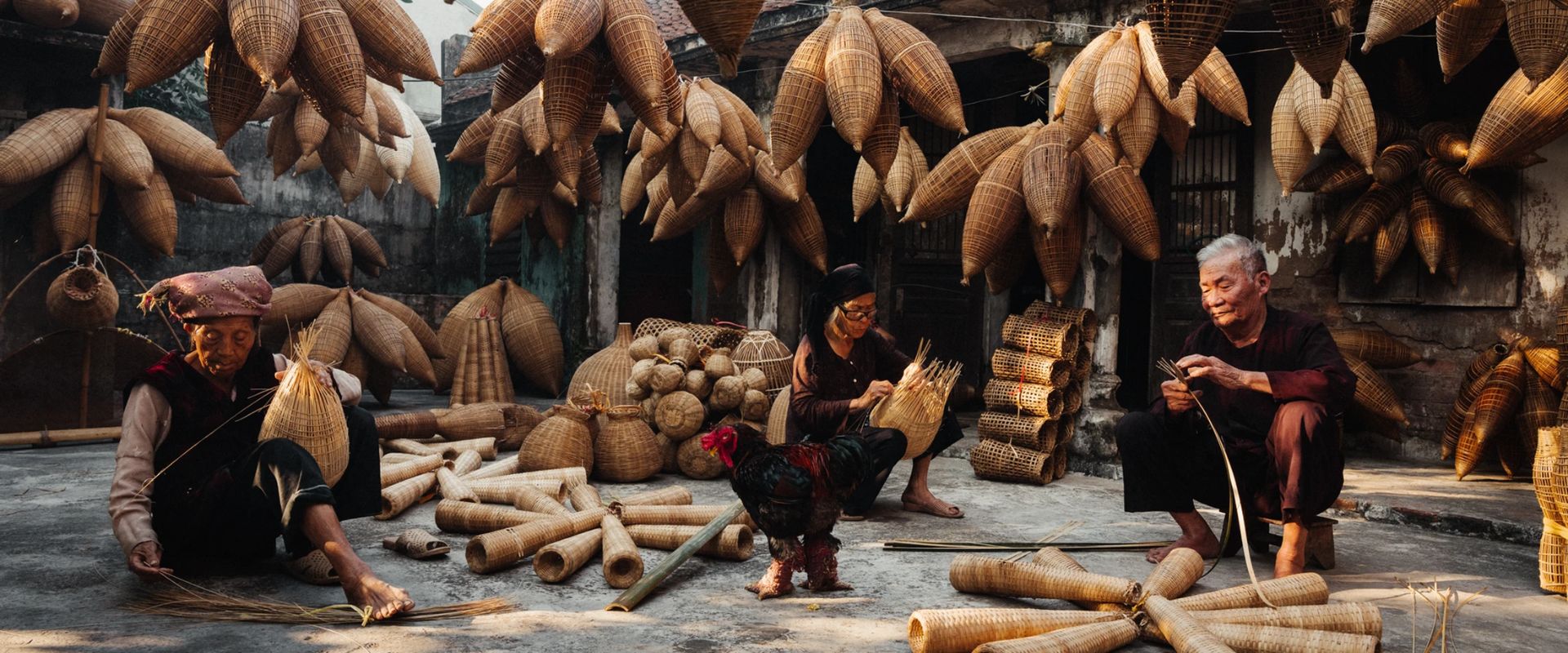 טיול לויאטנם