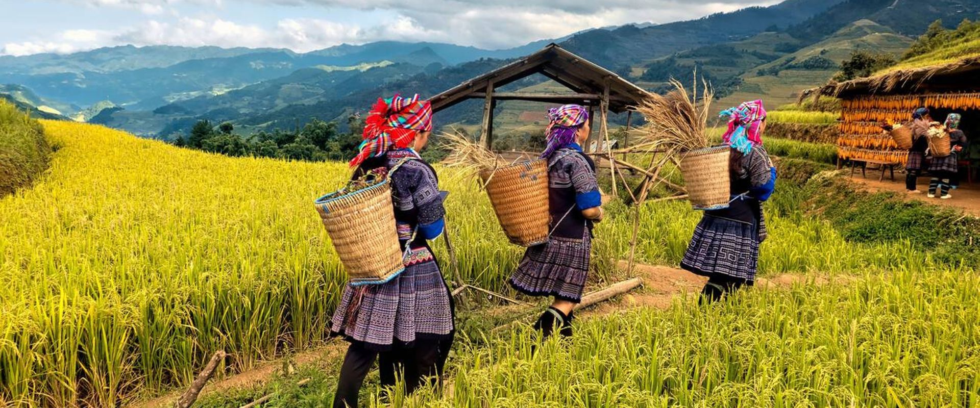 וייטנאם האותנטית והפראית – טיול עומק 18 ימים | Tropicana Travel