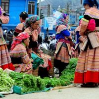/MediaUpload/thumb_0122172515vietnam-authentic.jpg